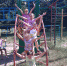 IMG-20190628-WA0022.jpg - Успенский район
