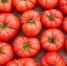 Фермерам Кубани помогут реализовать сельхозпродукцию - Рассвет