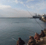 Рыбная лихорадка: тонны красной рыбы вынесло в Черное море после шторма - Рассвет